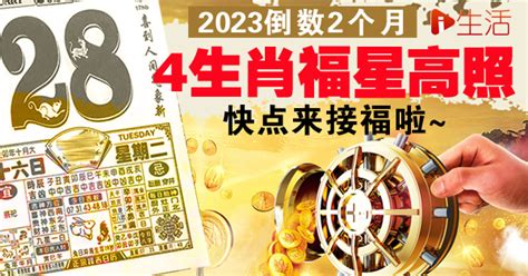 55年生肖|2024倒數中！12月「4生肖」福星助攻、財運狂飆 年終翻倍有希望。